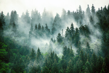 北汽新能源年产能大幅提升38.8% 将生产EU系列